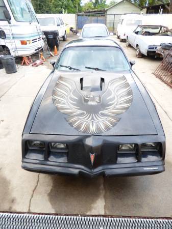 1979 Trans Am 4 Speed 1979 Pontiac Trans Am