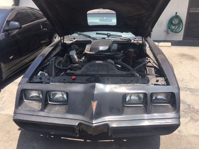 1979 Pontiac Trans Am - photo 10