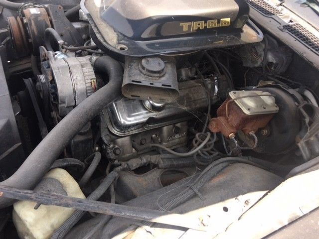 1979 Pontiac Trans Am - photo 9