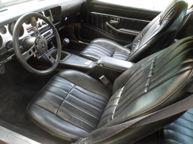 1979 Pontiac Trans Am - photo 13