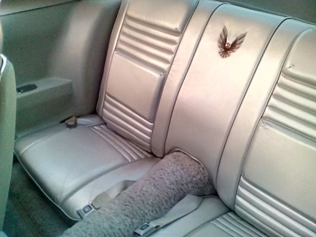 1979 Pontiac Trans Am - photo 6