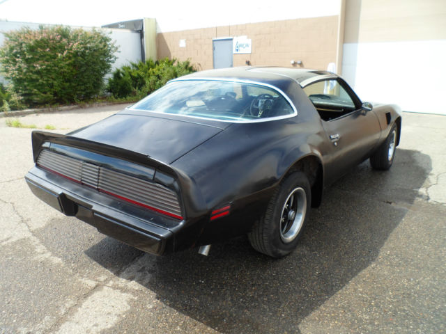 1979 Pontiac Trans Am - photo 11
