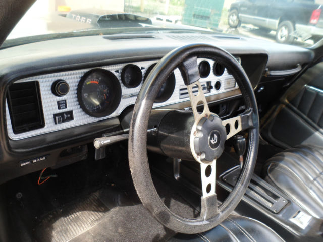 1979 Pontiac Trans Am - photo 13