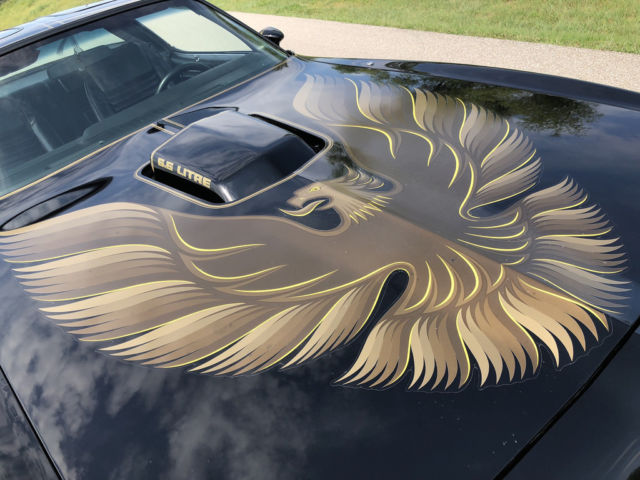 1979 Pontiac Trans Am - 51k Mile Survivor, SE Tribute, Loaded 6.6 Liter - photo 10