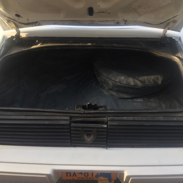 1979 Pontiac Trans Am 6.6 - photo 12