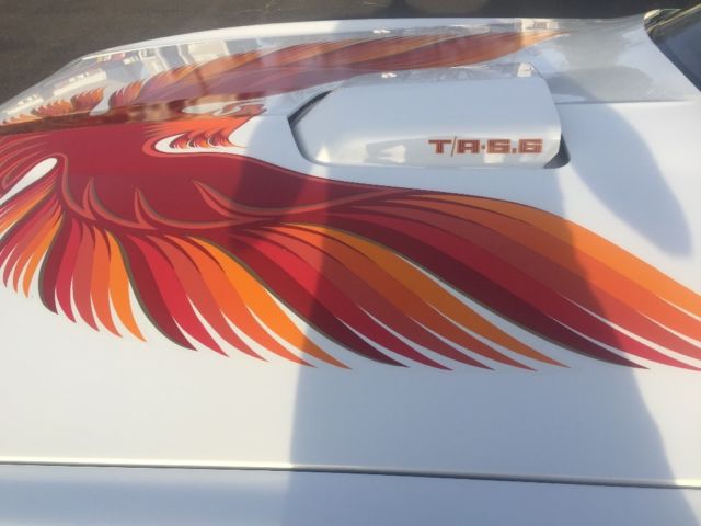 1979 Pontiac Trans Am 6.6 - photo 13