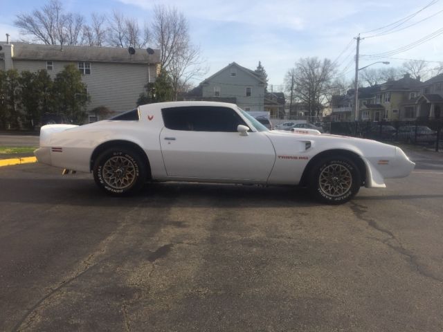 1979 Pontiac Trans Am 6.6 - photo 4