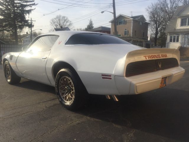 1979 Pontiac Trans Am 6.6 - photo 5