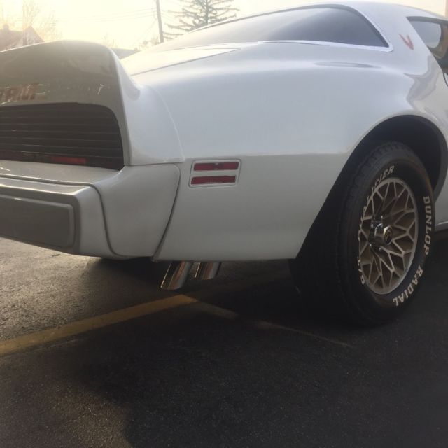 1979 Pontiac Trans Am 6.6 - photo 6