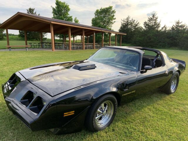 1979 Pontiac Firebird Trans Am - photo 2