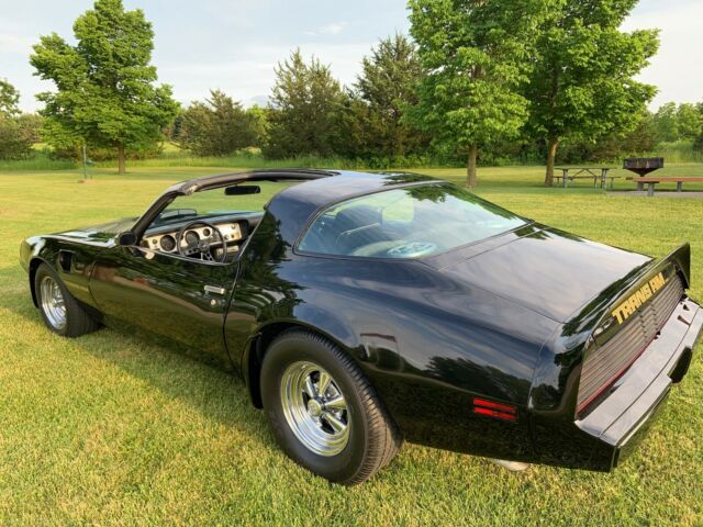 1979 Pontiac Firebird Trans Am - photo 3