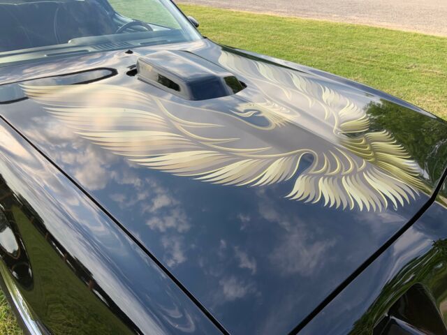 1979 Pontiac Firebird Trans Am - photo 4