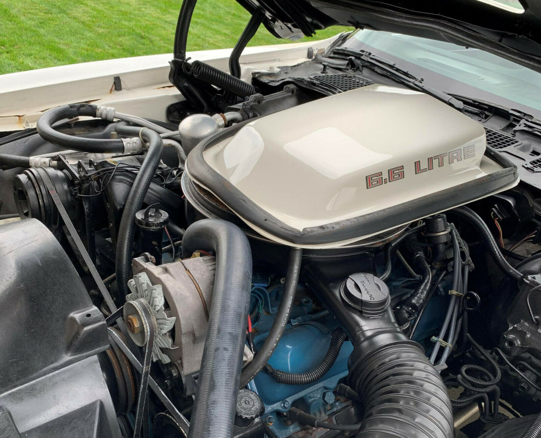 1979 Pontiac Trans Am 6.6 Litre Auto, 83k Miles, Loaded, Mint Condition - photo 11