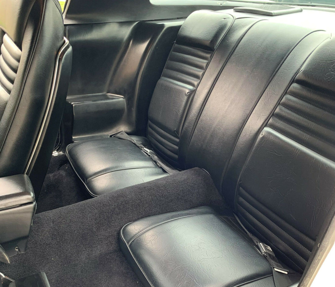 1979 Pontiac Trans Am 6.6 Litre Auto, 83k Miles, Loaded, Mint Condition - photo 9