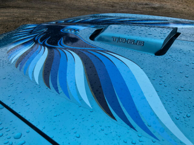 1979 Pontiac Trans Am , 6.6L V8, WS6, Auto, Atlantis Blue, 35k miles - photo 6