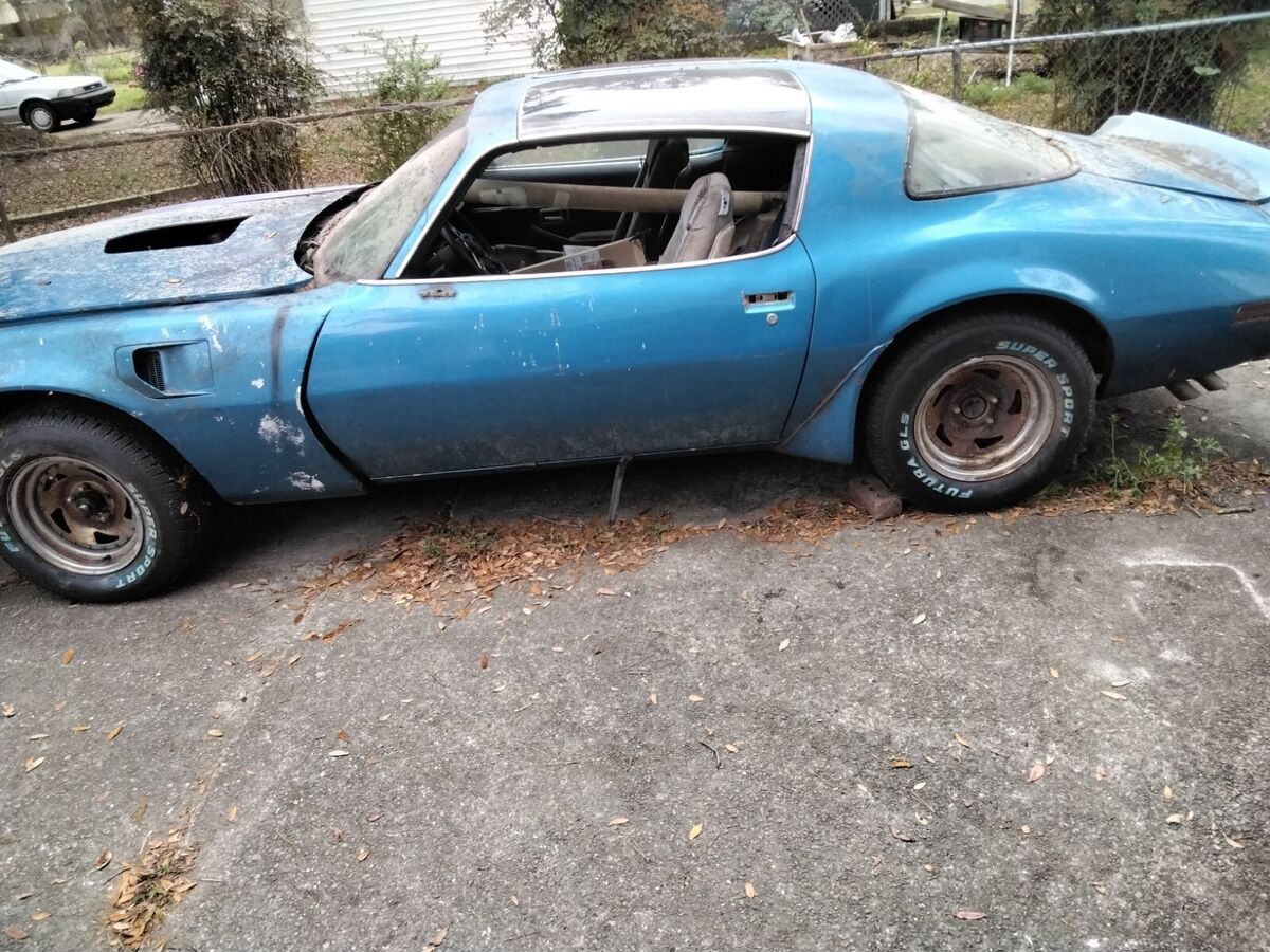 1979 Pontiac Trans Am Firebird - photo 8