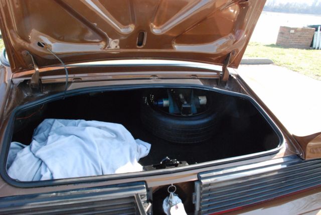 1979 Pontiac Trans Am Firebird - photo 9