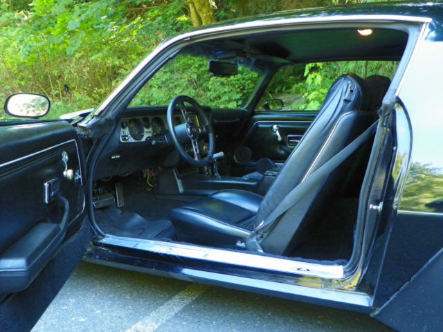 1979 Pontiac Trans Am - photo 8