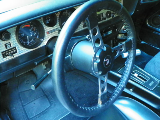 1979 Pontiac Trans Am - photo 9