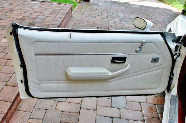 1979 Pontiac Trans Am - photo 8