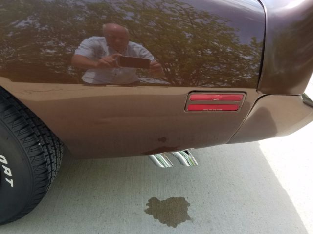 1979 Pontiac Trans Am - photo 8