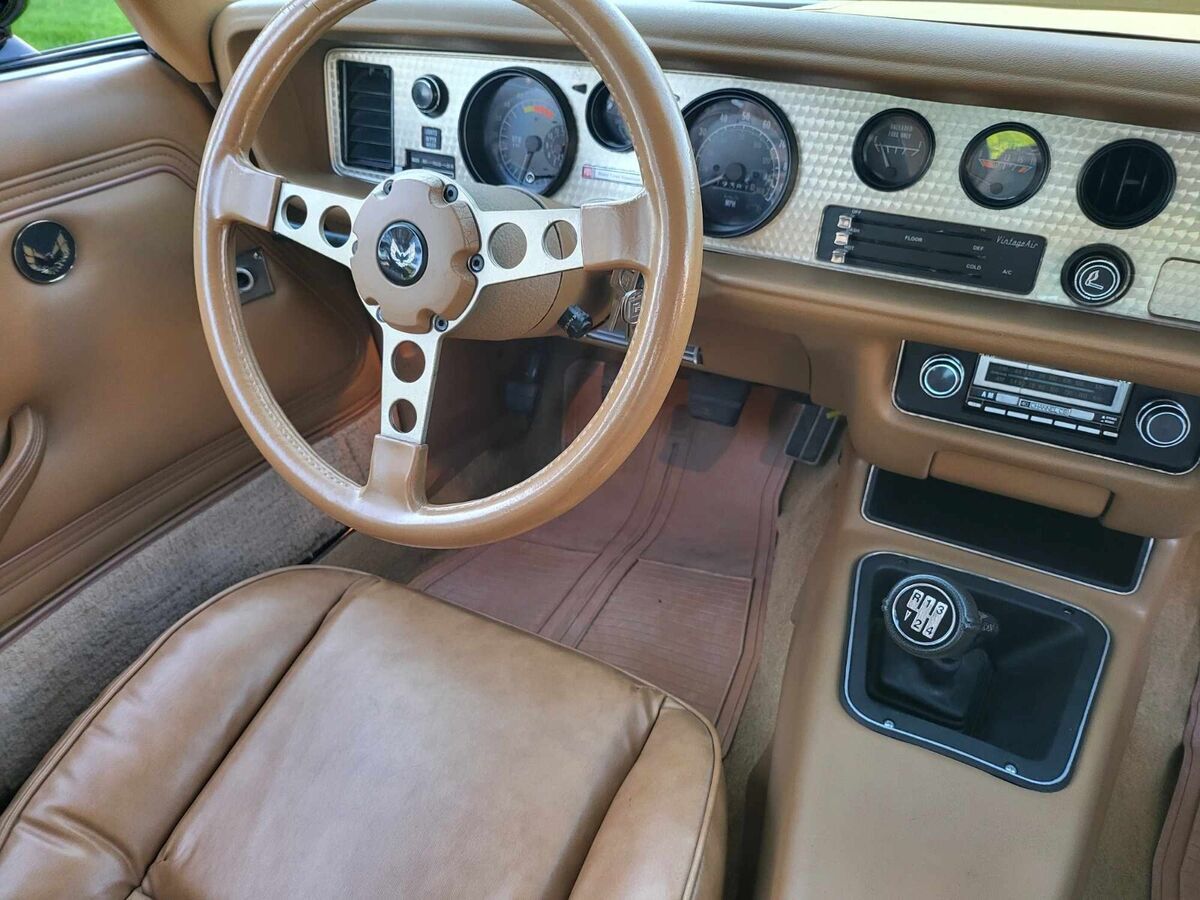 1979 Pontiac Trans Am - photo 12