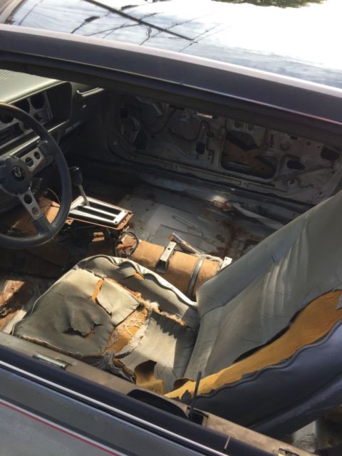 1979 Pontiac Trans Am - photo 7