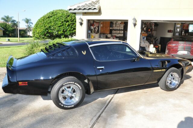 1979 Pontiac Trans Am Bandit - photo 10