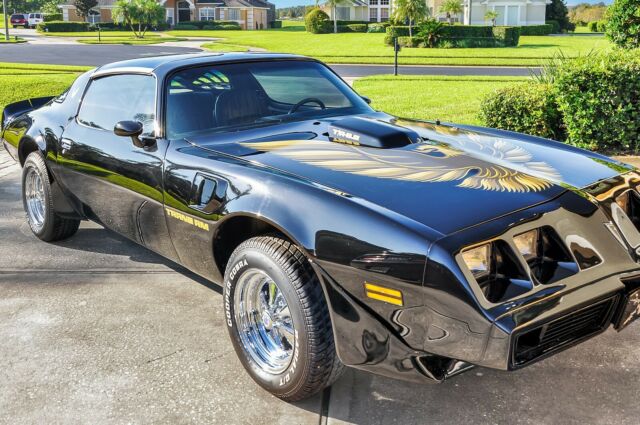 1979 Pontiac Trans Am Bandit - photo 3