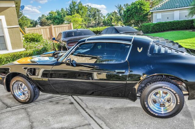 1979 Pontiac Trans Am Bandit - photo 5