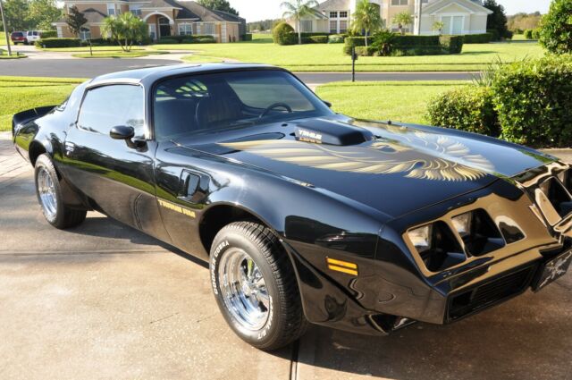 1979 Pontiac Trans Am Bandit - photo 6