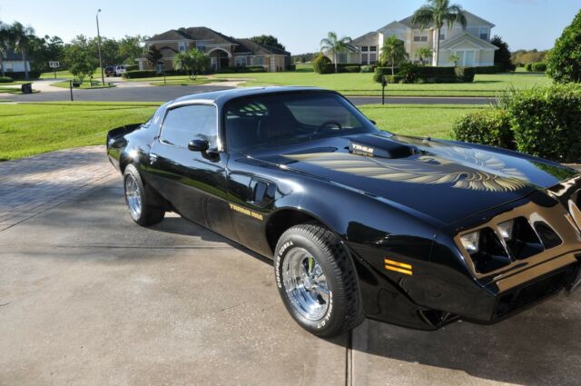 1979 Pontiac Trans Am Bandit - photo 9
