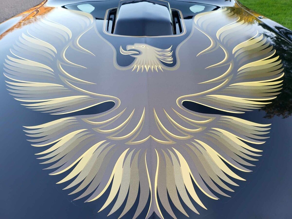 1979 Pontiac Trans Am - photo 11