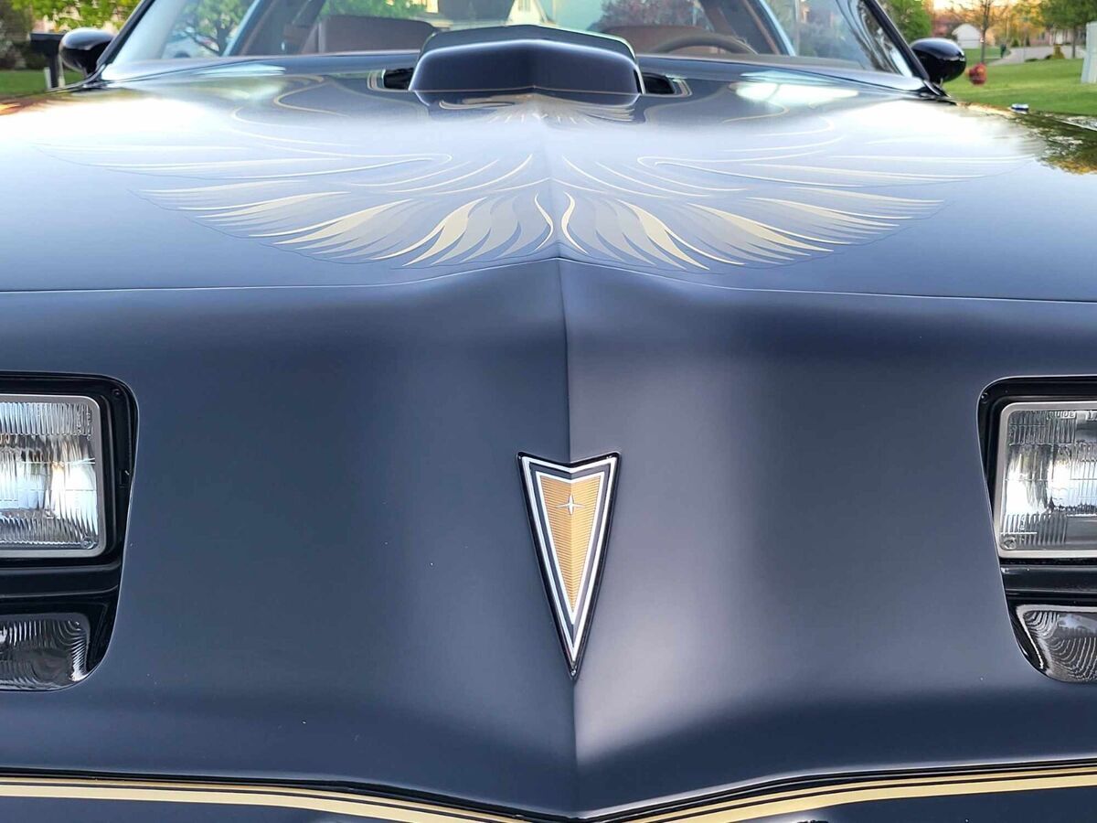 1979 Pontiac Trans Am - photo 12