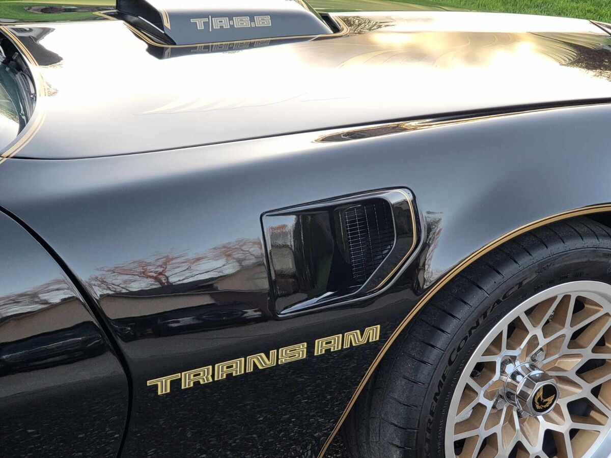1979 Pontiac Trans Am - photo 5