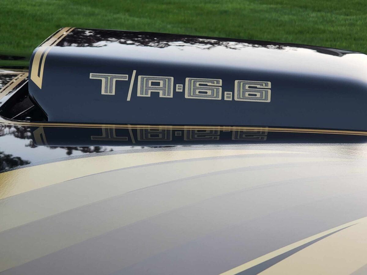 1979 Pontiac Trans Am - photo 7