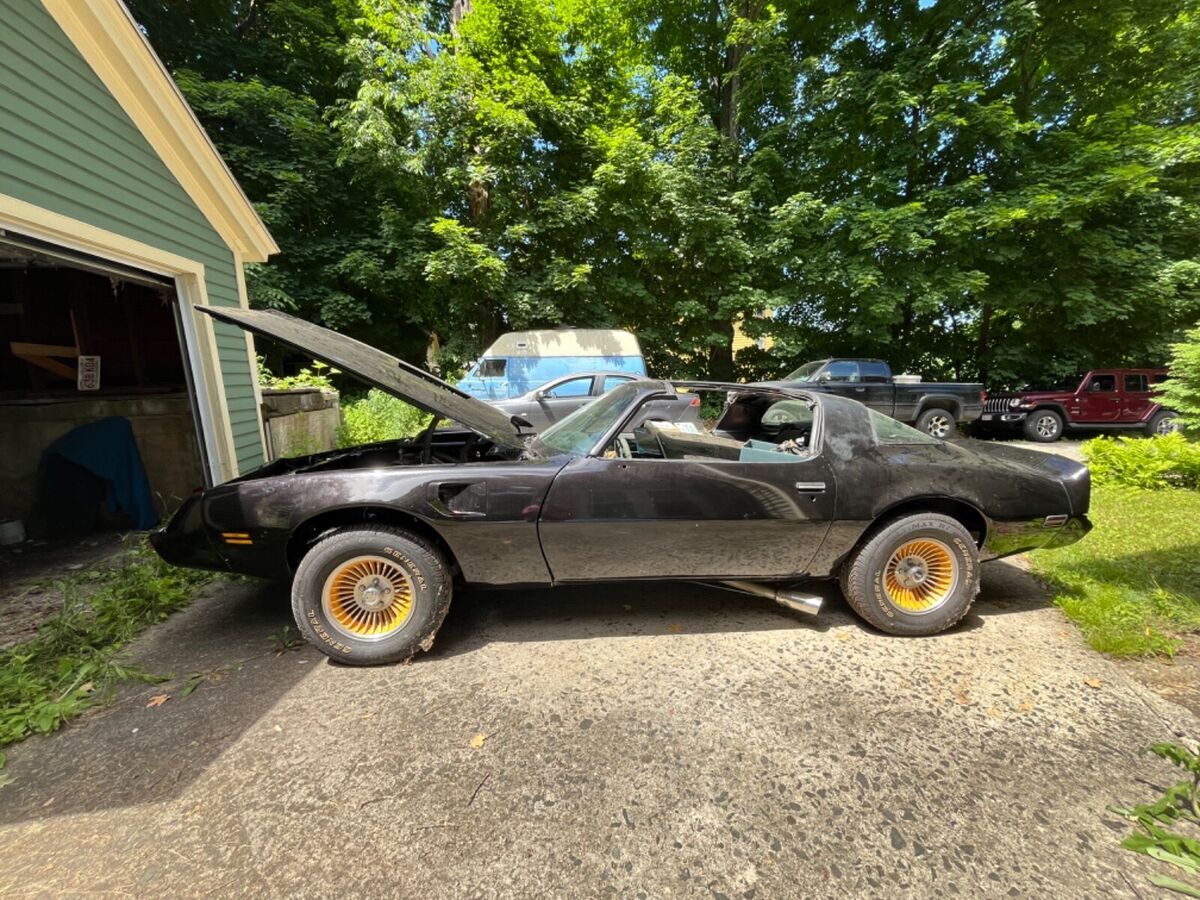 1979 Pontiac Trans Am - photo 2