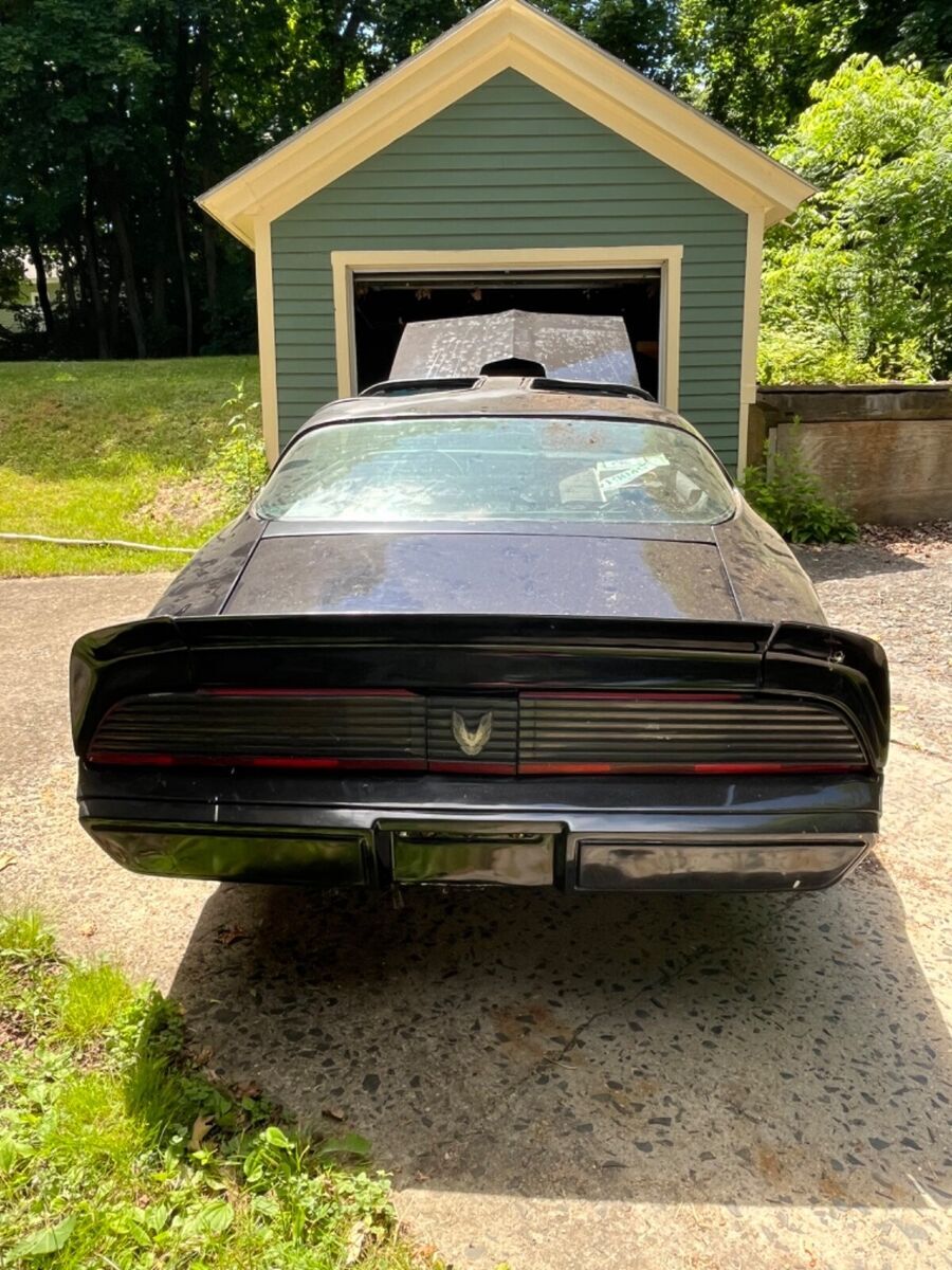 1979 Pontiac Trans Am - photo 3