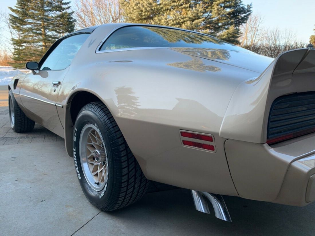 1979 Pontiac Trans Am Deluxe - photo 11