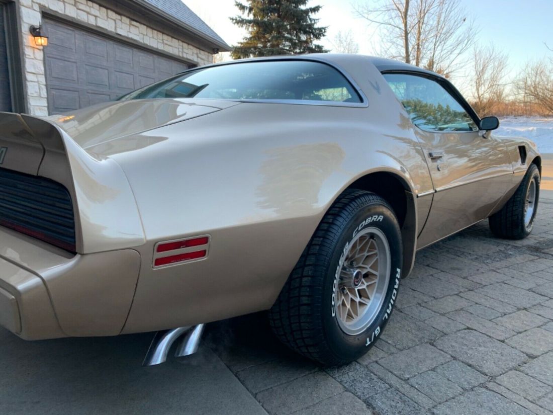 1979 Pontiac Trans Am Deluxe - photo 12