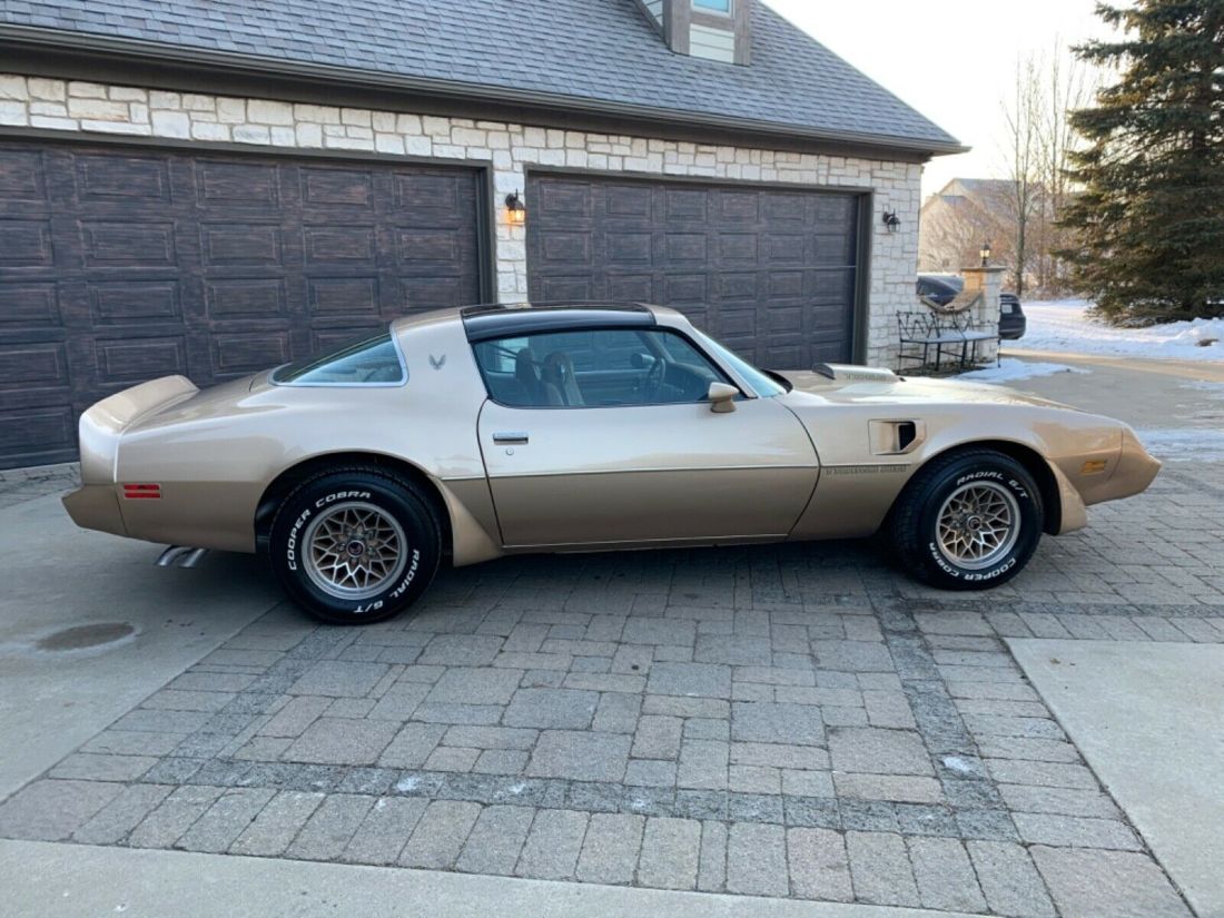 1979 Pontiac Trans Am Deluxe - photo 6