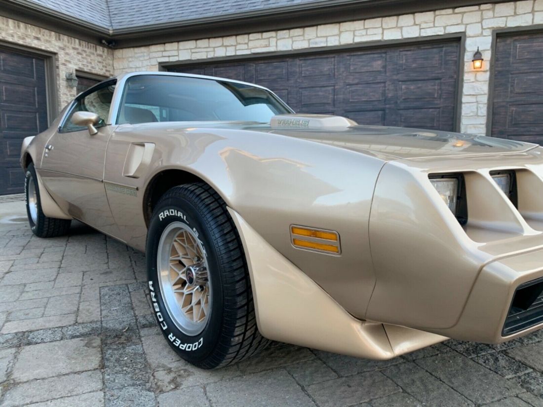 1979 Pontiac Trans Am Deluxe - photo 9