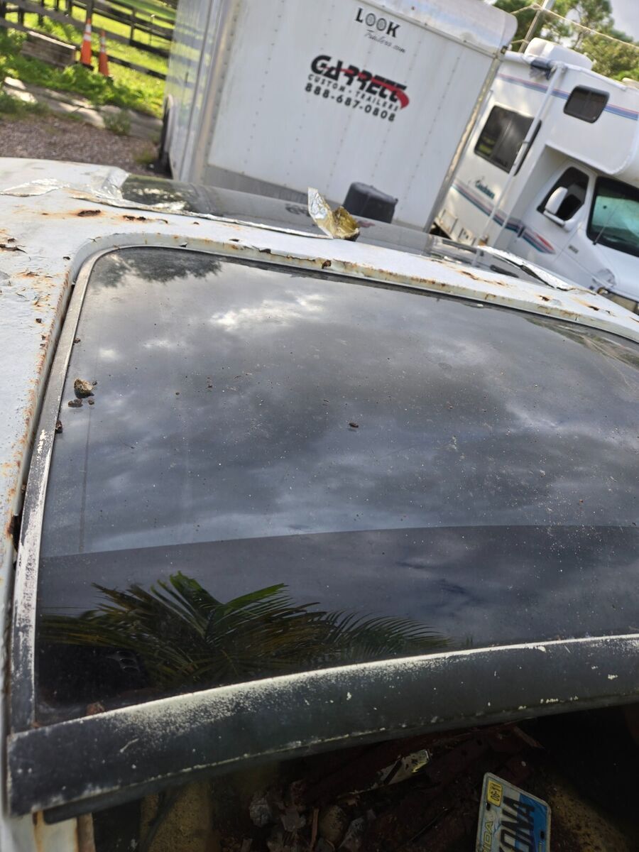 1979 Pontiac Trans Am - photo 5