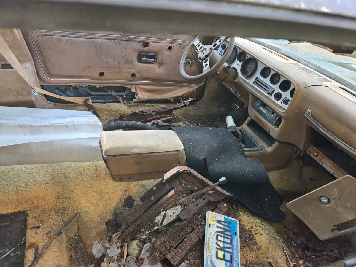 1979 Pontiac Trans Am - photo 6