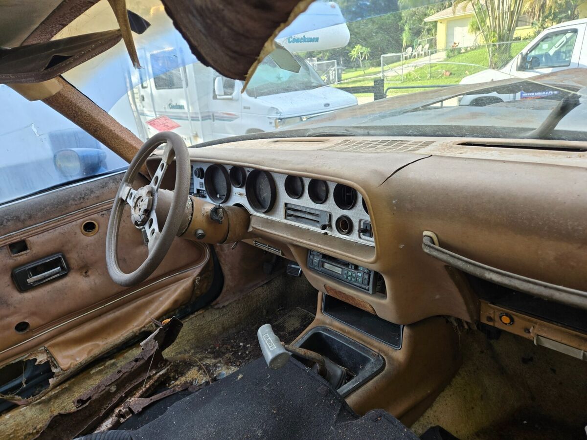 1979 Pontiac Trans Am - photo 7