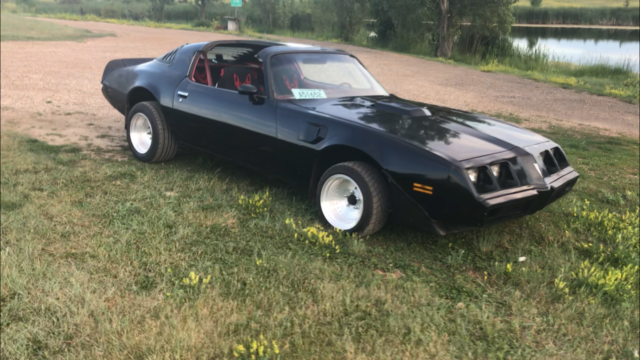 1979 Pontiac Trans Am Trans am
