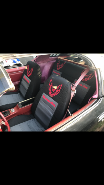 1979 Pontiac Trans Am Trans am - photo 6