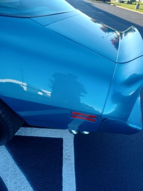 1979 Pontiac Trans Am - photo 3