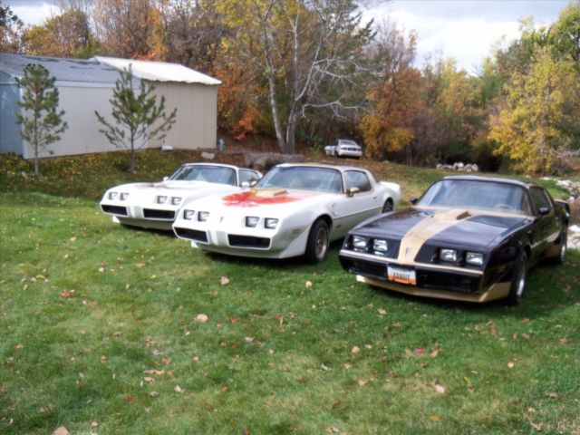 1979 Pontiac Trans Am SE Macho T/A - photo 2