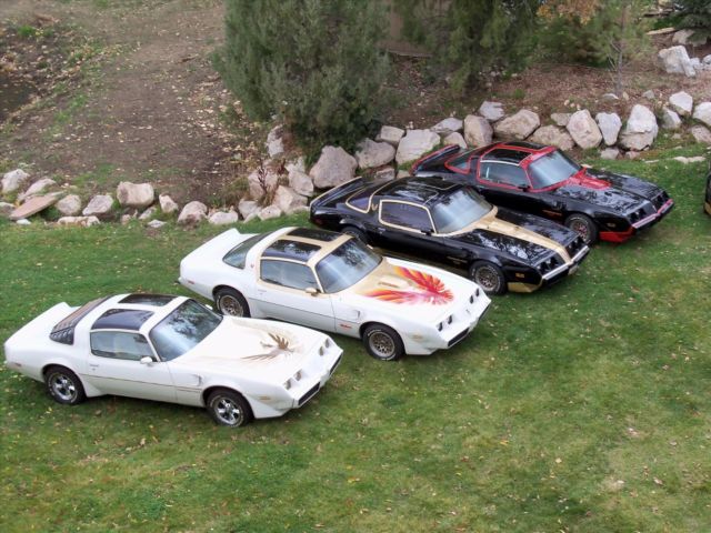 1979 Pontiac Trans Am SE Macho T/A - photo 4